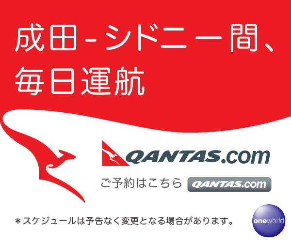 航空会社のバナー